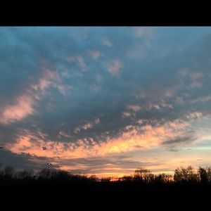 Meet your Posher, Kylie